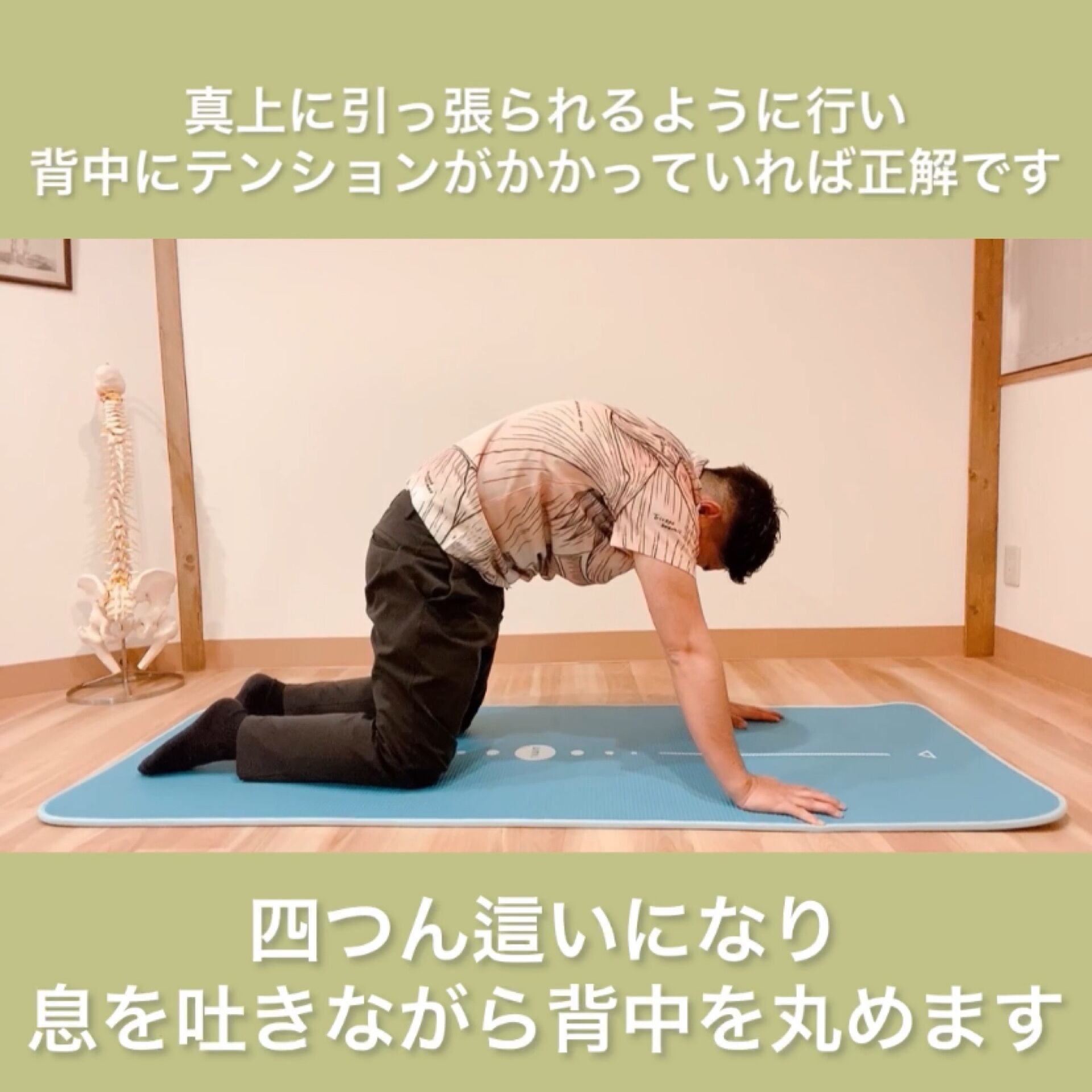 胸椎ストレッチ